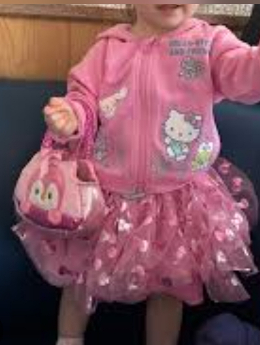 (Ew)Disney Princess 3piece Tutu and Top Set